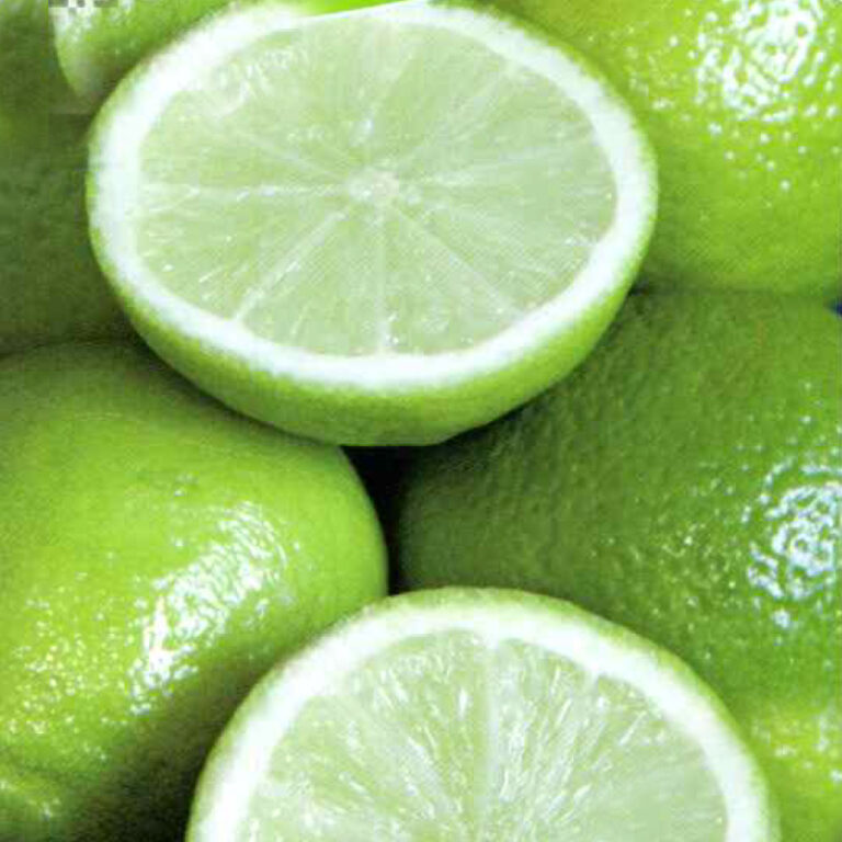 IMG of Persian Lime