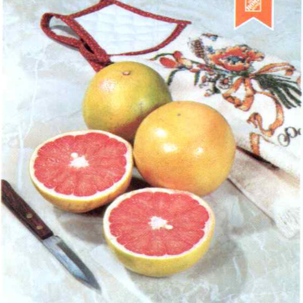 IMG of Thompson Pink Grapefruit