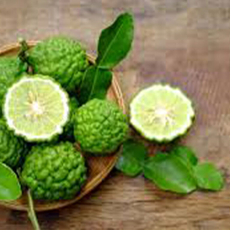 IMG of cut Kaffir Lime